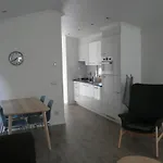 Dolfijn * Ermelo