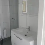 Dolfijn Ermelo