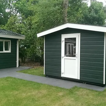 Dolfijn * エルメロ