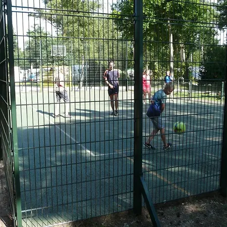 シャレー Dolfijn *