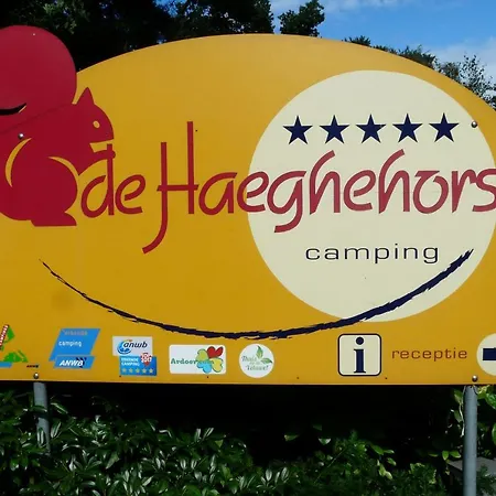 Dolfijn * Ermelo