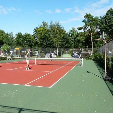 シャレー Dolfijn エルメロ