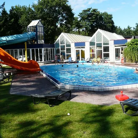 Dolfijn * Ermelo