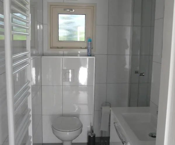 シャレー Dolfijn