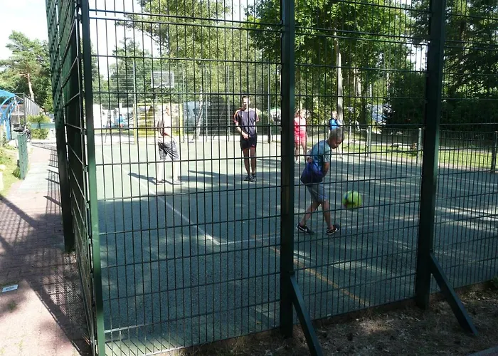 シャレー Dolfijn *