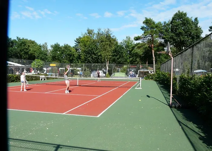 シャレー Dolfijn エルメロ